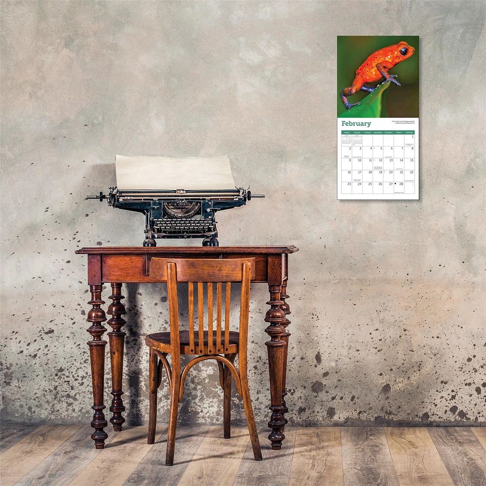 Frogs Mini 2025 Calendar