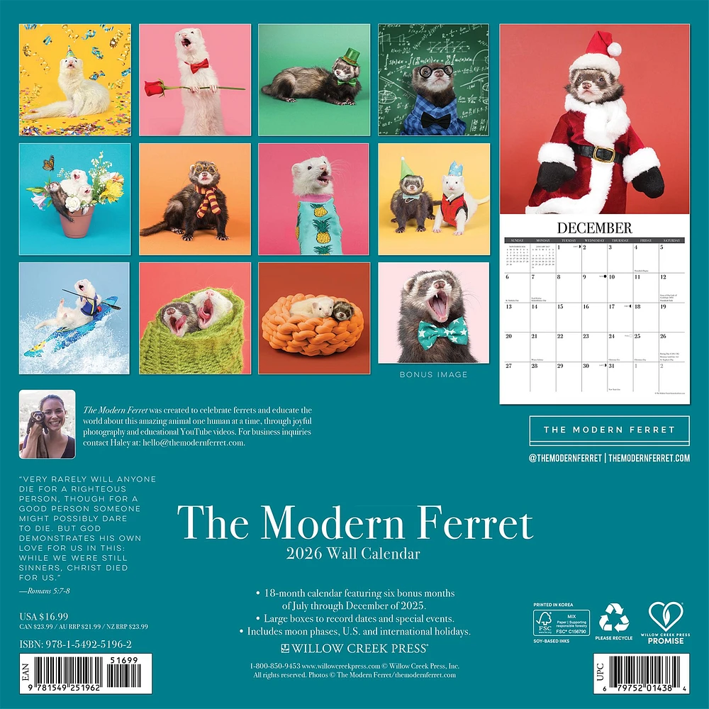 Modern Ferret 2026 Wall Calendar