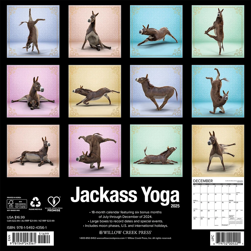 Jackass Yoga Wall 2025 Calendar