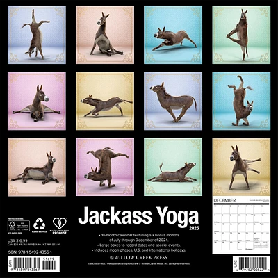 Jackass Yoga Wall 2025 Calendar