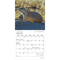 Prairies 2026 Mini Calendar