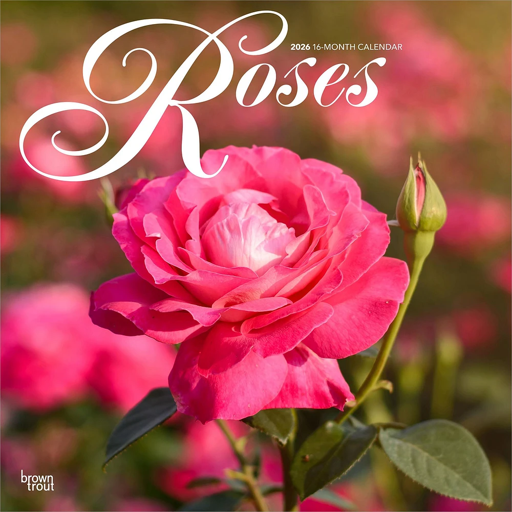 Roses 2026 Wall Calendar - Online Exclusive