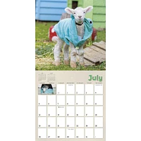 Lambies In Jammies And Goats In Coats 2026 Wall Calendar