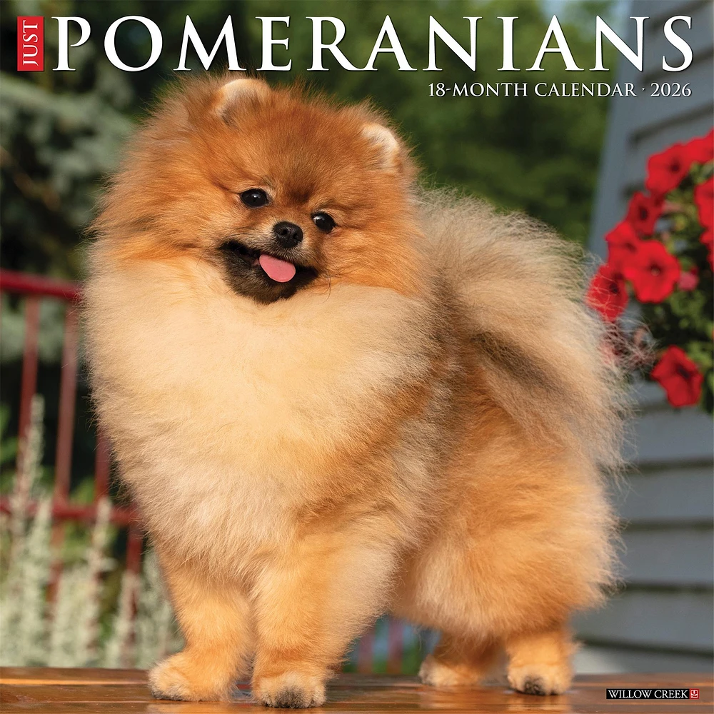Just Pomeranians 2026 Wall Calendar