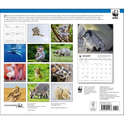 Baby Animals World Wildlife Fund Wall 2025 Calendar