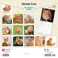 Ginger Cats 2026 Wall Calendar