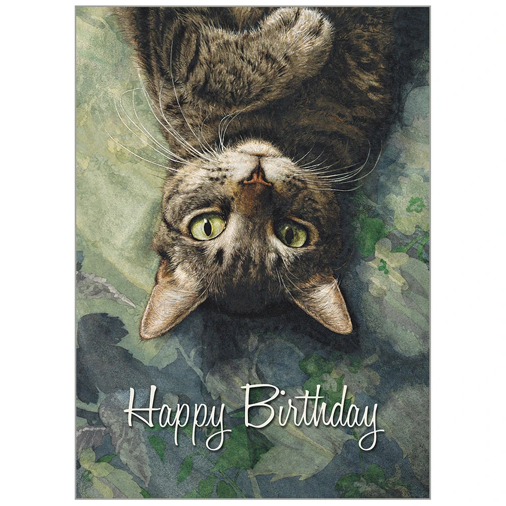 Cats We Love 2026 Deluxe Special Edition Wall Calendar with Cards
