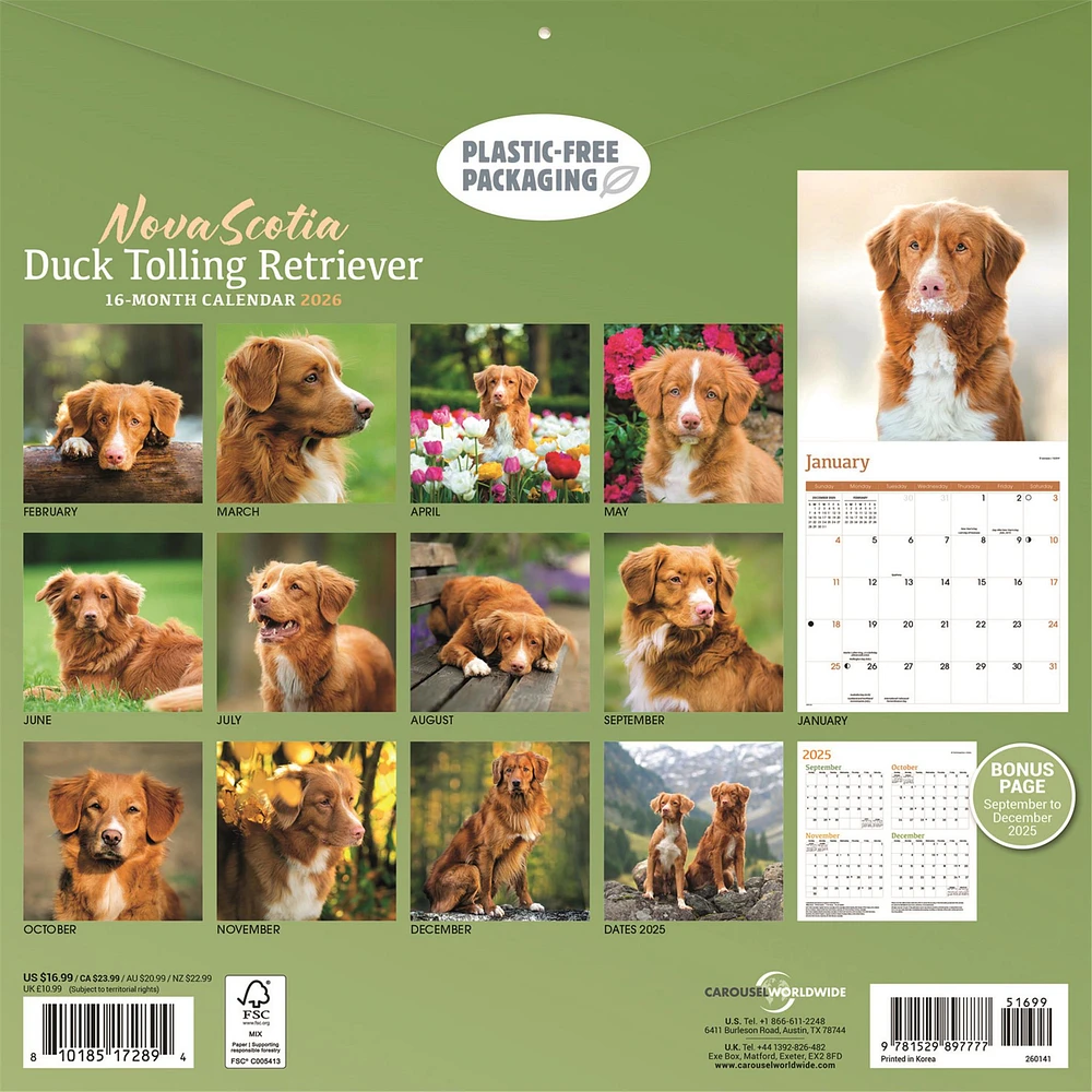 Nova Scotia Duck Tolling Retriever 2026 Wall Calendar