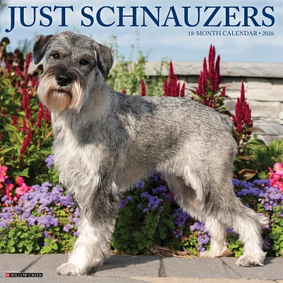 Just Schnauzers 2026 Wall Calendar - Online Exclusive