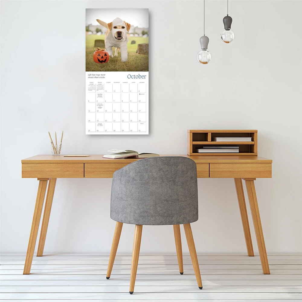 Dogma 2026 Wall Calendar