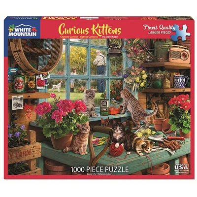 Curious Kittens 1000 Piece Puzzle