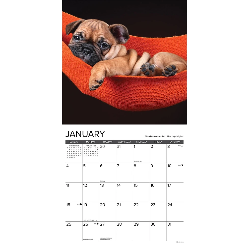 What Puppies Teach Us 2026 Wall Calendar