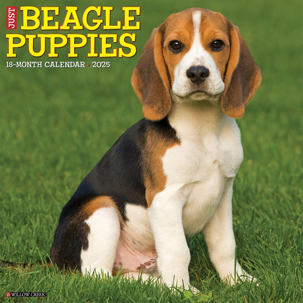 Just Beagle Puppies Wall 2025 Calendar