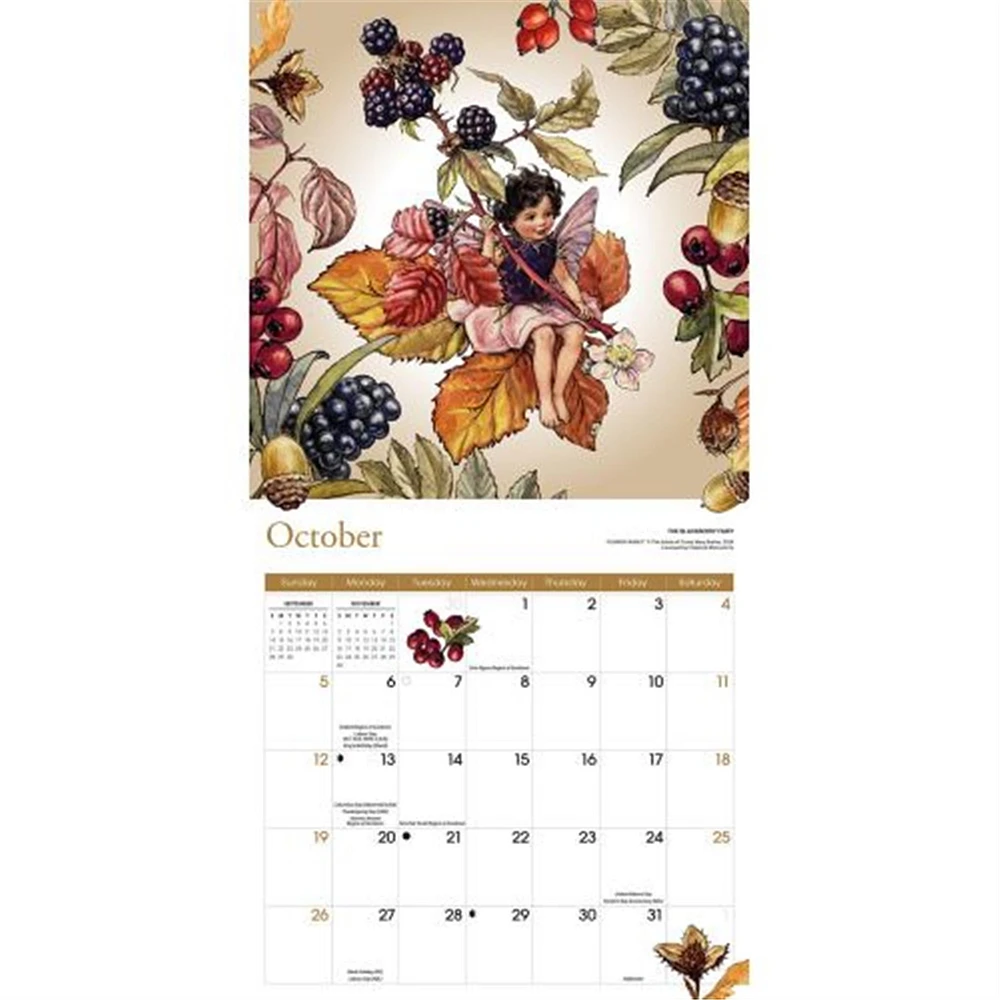 Flower Fairies Wall 2025 Calendar