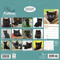 Black Kittens 2026 Wall Calendar