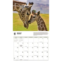 World Wildlife Fund Giraffes 2026 Wall Calendar