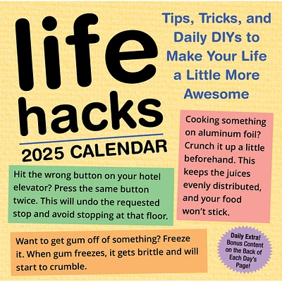 Life Hacks Box 2025 Calendar