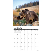 Grizzlies 2026 Wall Calendar