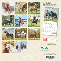 Chevaux Mini 2025 Calendar (French)