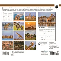 World Wildlife Fund Giraffes 2026 Wall Calendar