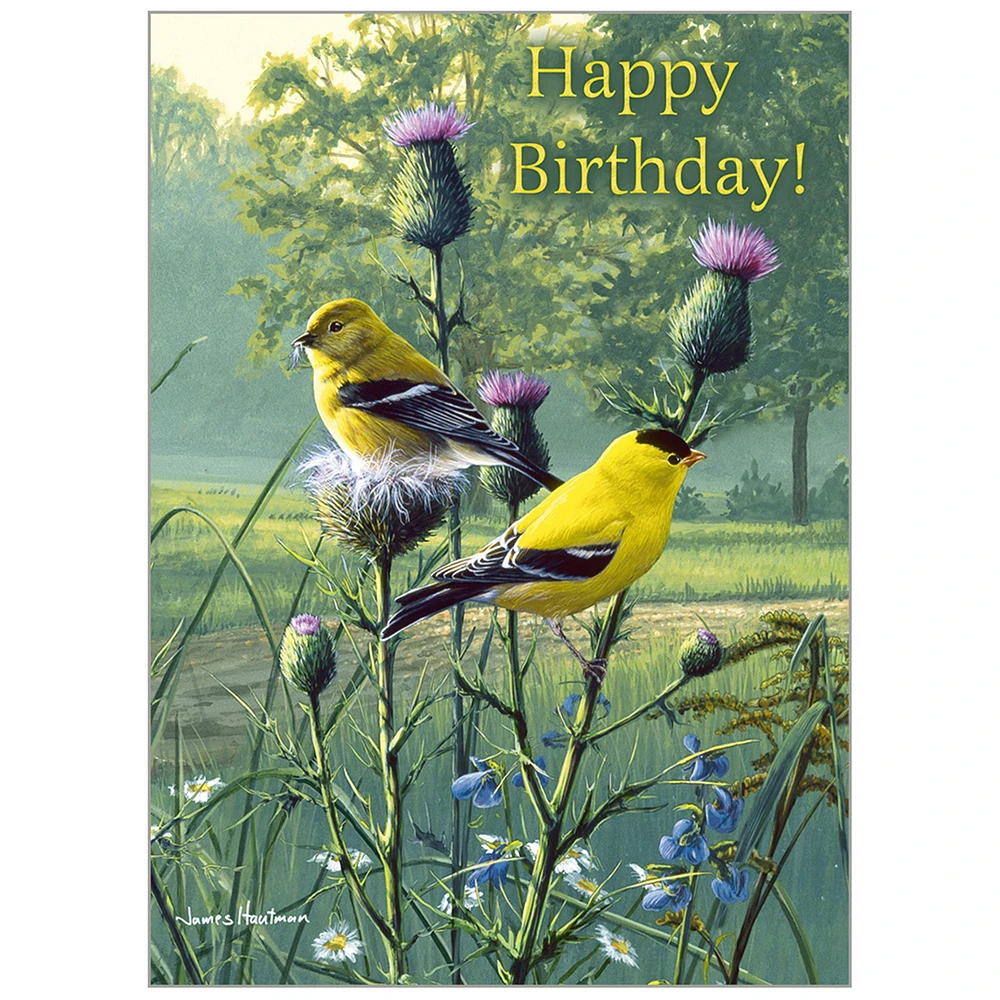 Songbirds 2026 Deluxe Special Edition Wall Calendar with Cards