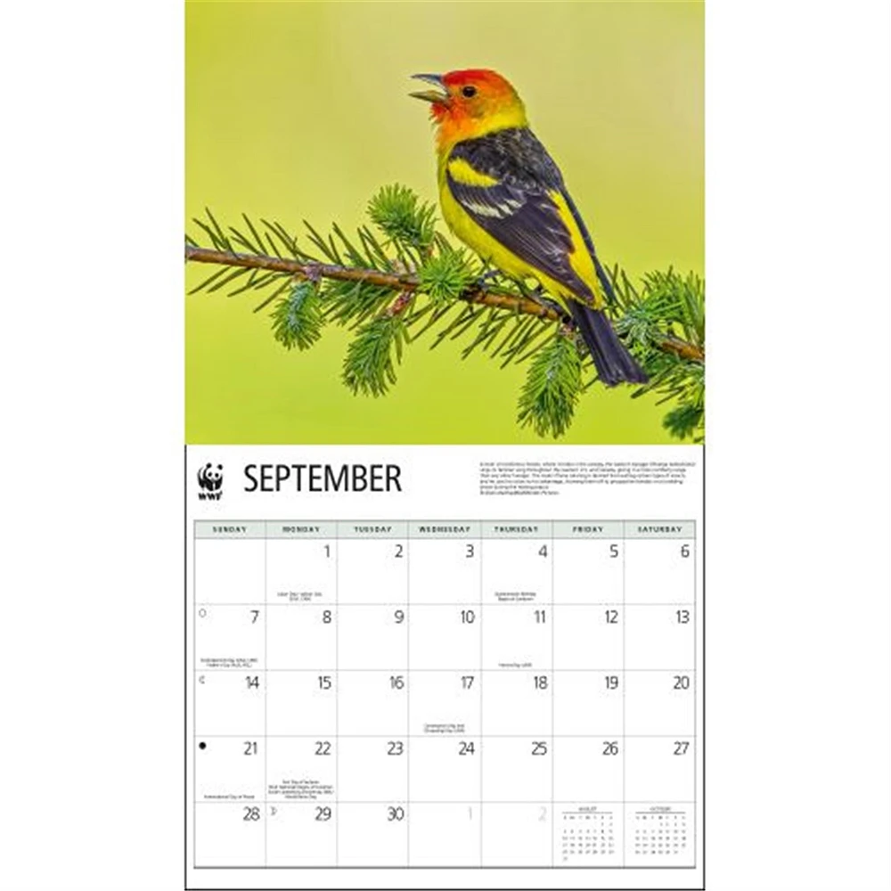 Birds Backyard World Wildlife Fund Wall 2025 Calendar