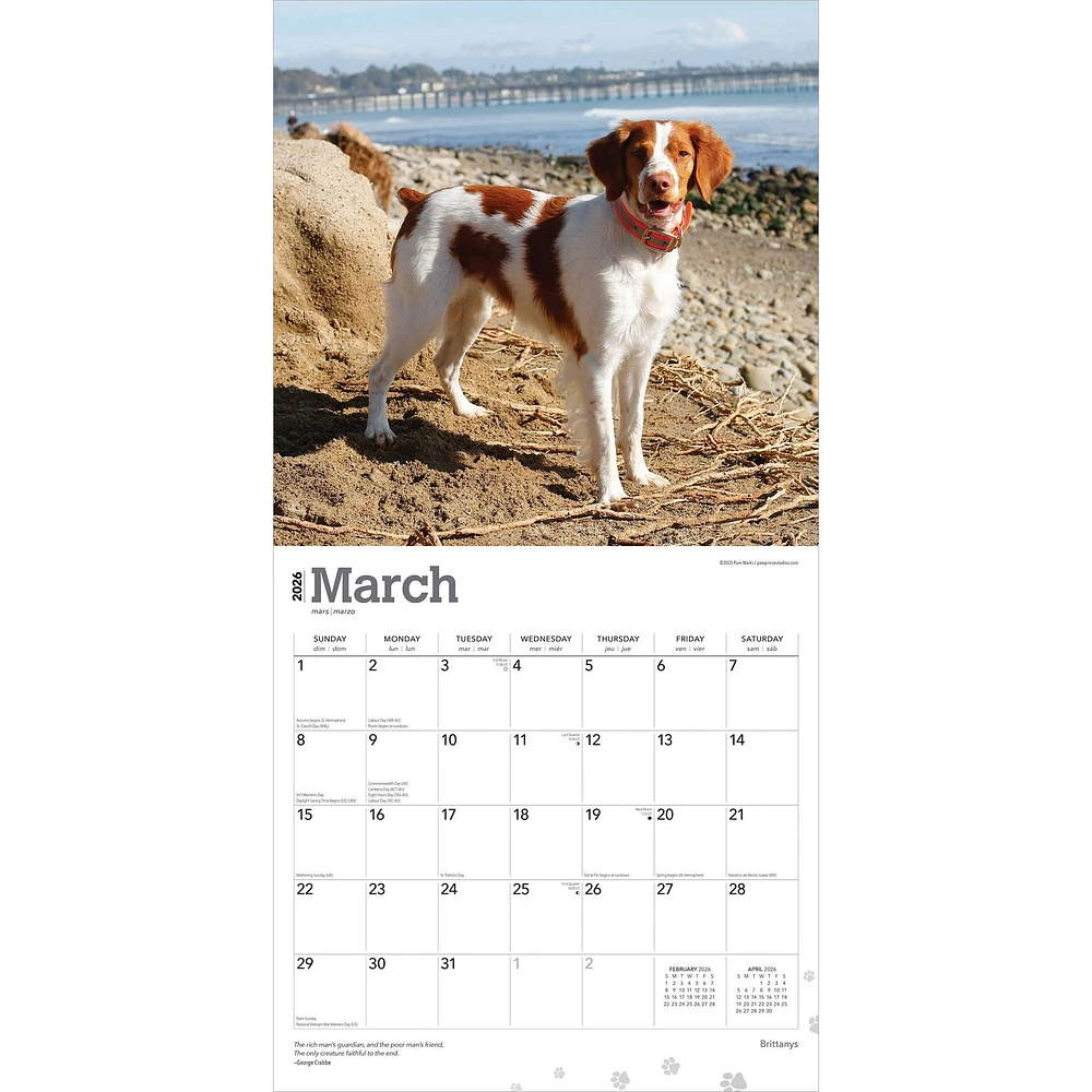Brittanys 2026 Wall Calendar - Online Exclusive