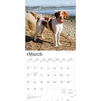 Brittanys 2026 Wall Calendar - Online Exclusive