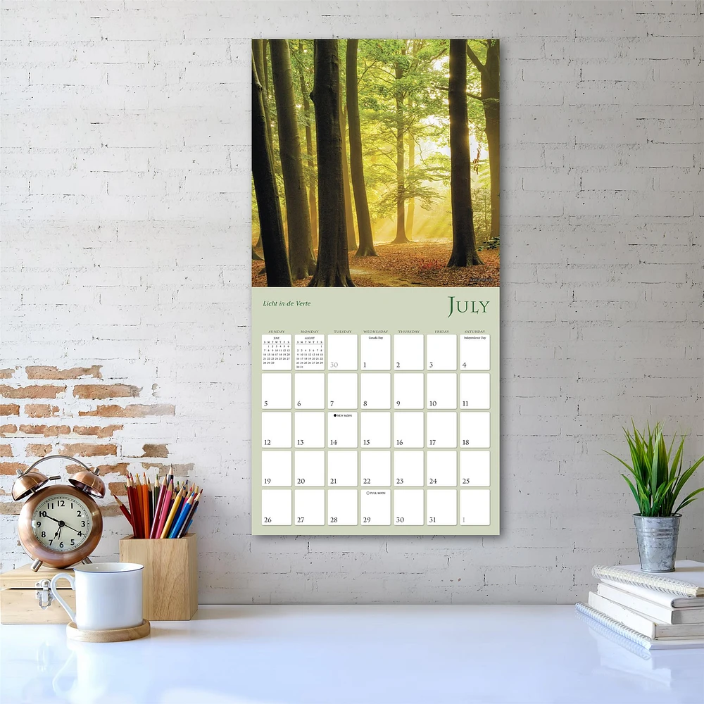 Enchanted Pathways 2026 Wall Calendar