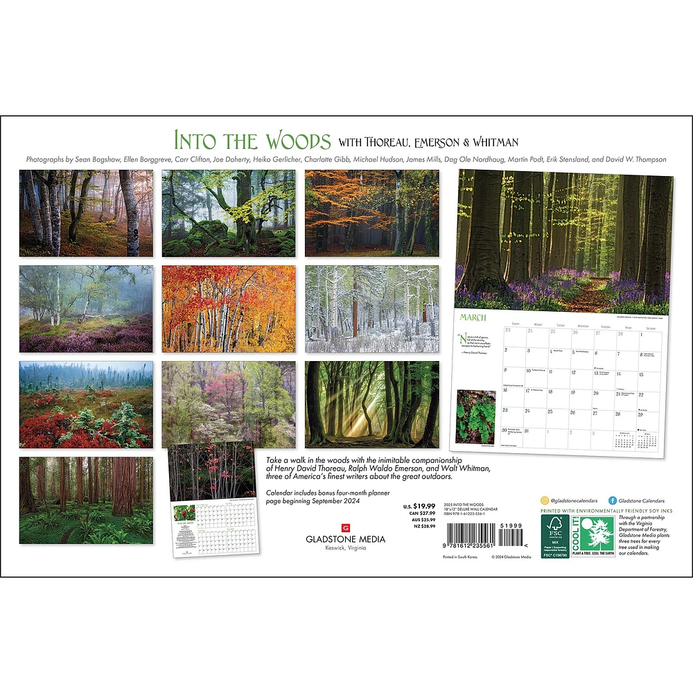 Into The Woods Oversized Wall 2025 Calendar