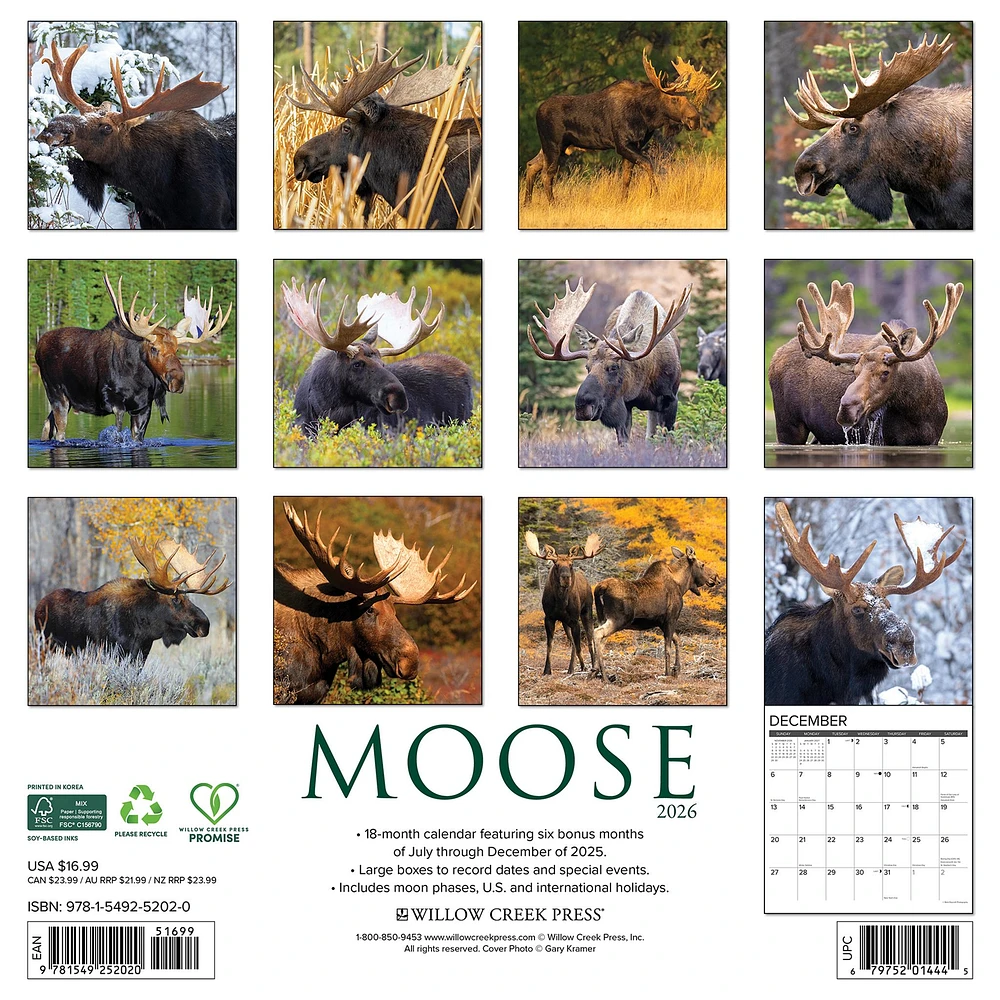 Moose 2026 Wall Calendar - Online Exclusive