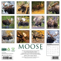 Moose 2026 Wall Calendar - Online Exclusive