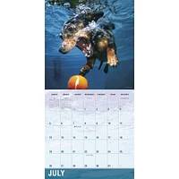 Underwater Dogs 2026 Wall Calendar