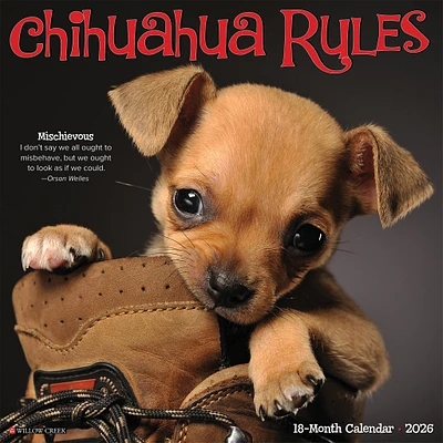 Chihuahua Rules 2026 Wall Calendar - Online Exclusive