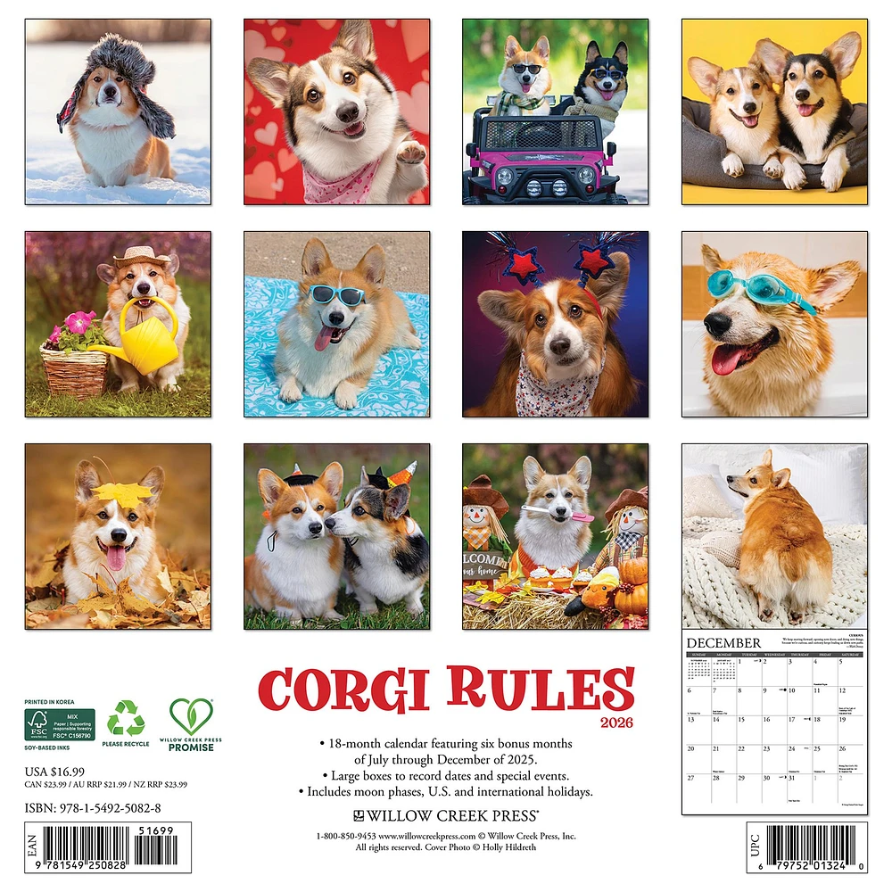 Corgi Rules 2026 Wall Calendar - Online Exclusive