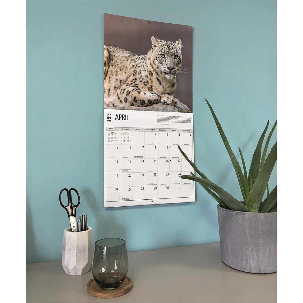 World Wildlife Fund Wild Cats 2026 Wall Calendar