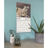 World Wildlife Fund Wild Cats 2026 Wall Calendar