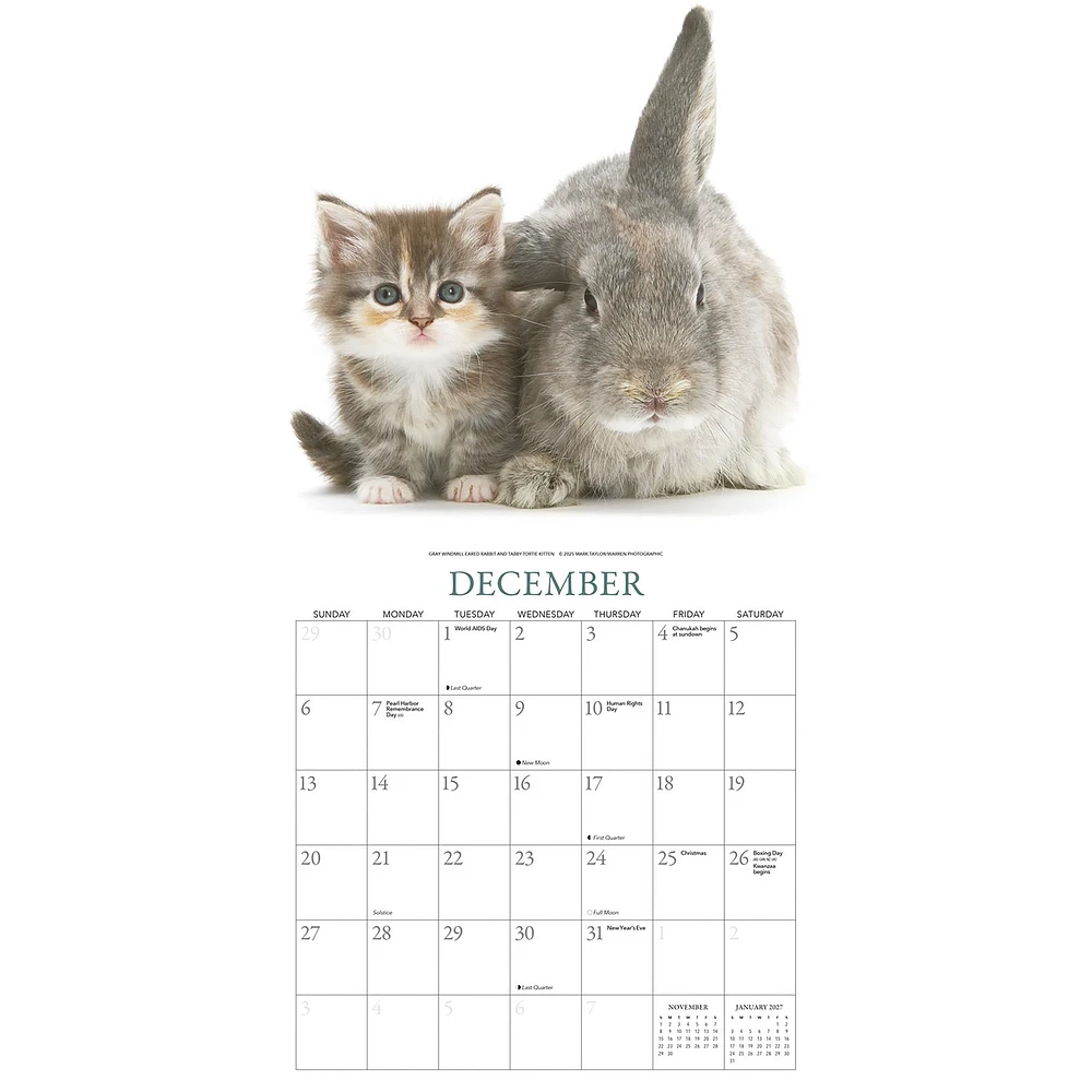 Bunnies And Friends 2026 Wall Calendar