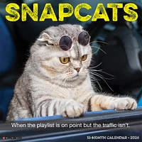 Snapcats 2026 Wall Calendar