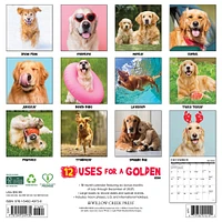 Goldens 12 Uses For 2026 Wall Calendar - Online Exclusive