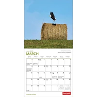 Canadian Geographic Canadian Scenes 2026 Mini Calendar - Online Exclusive