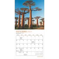 J'Adore Voyager Mini 2025 Calendar (French)