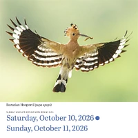 Audubon Birds 2026 Box Calendar