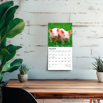 Piglets 2026 Mini Calendar