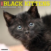 Just Kittens Wall 2025 Calendar