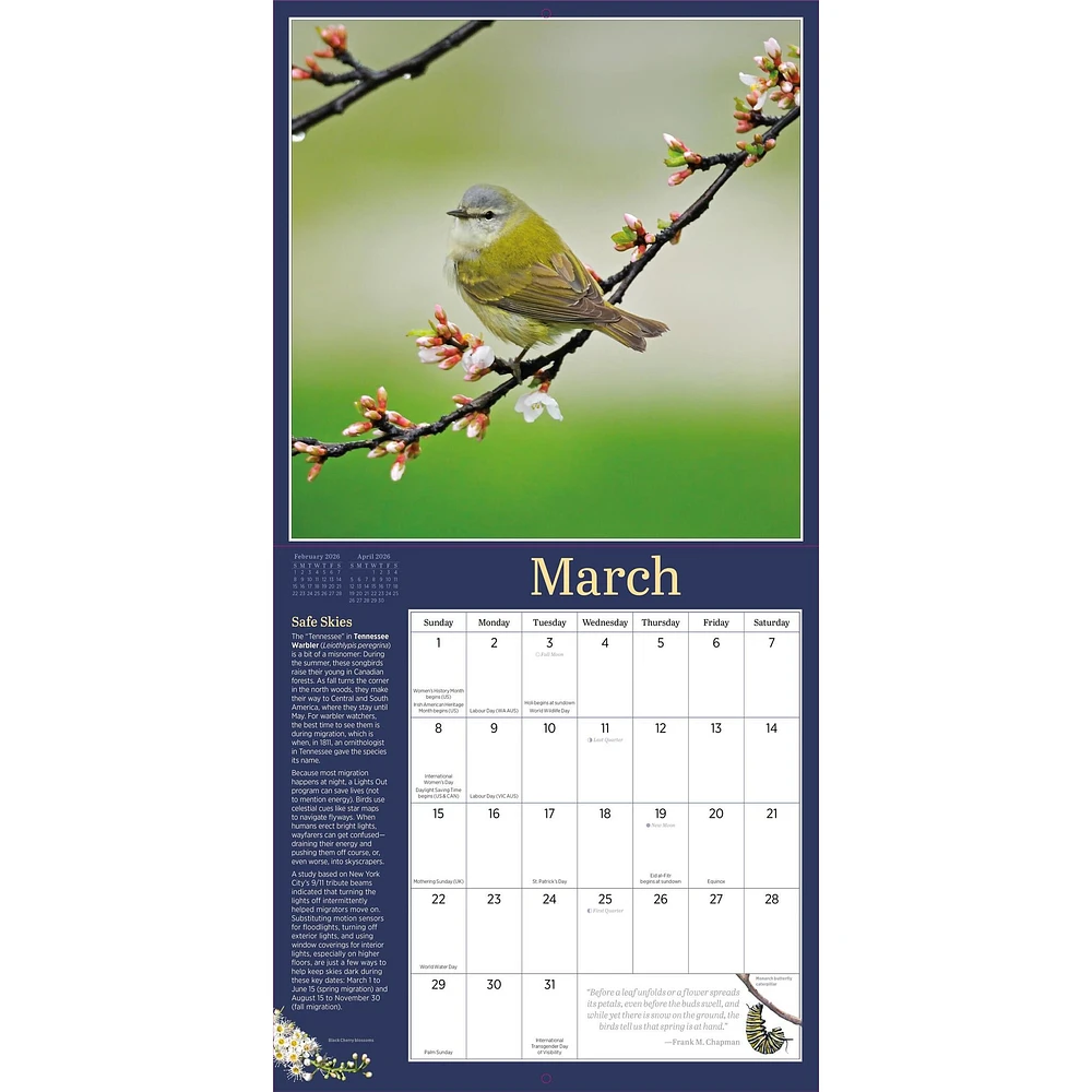 Audubon Birds In The Garden 2026 Wall Calendar