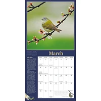 Audubon Birds In The Garden 2026 Wall Calendar