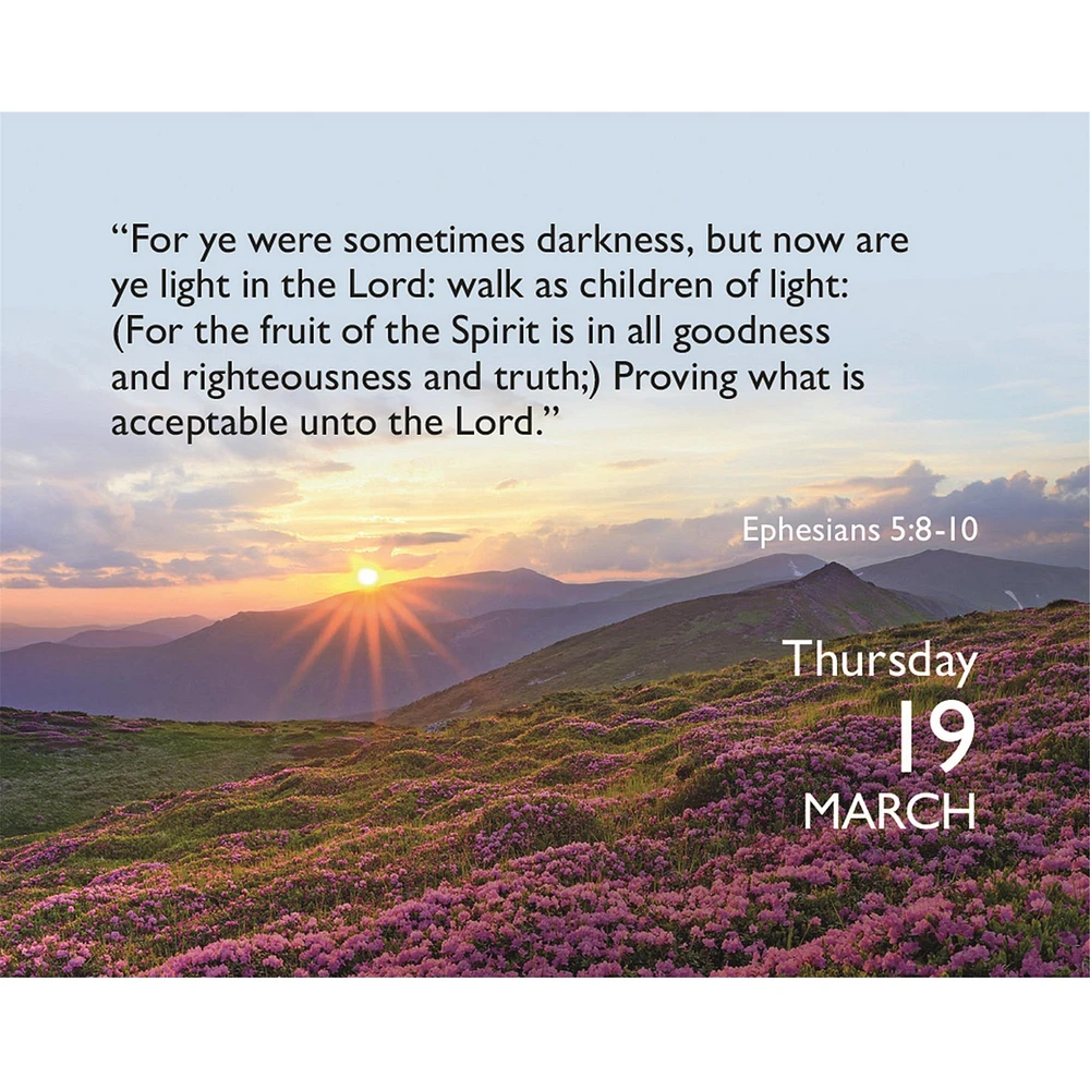 Bible Verse A Day 2026 Small Box Calendar