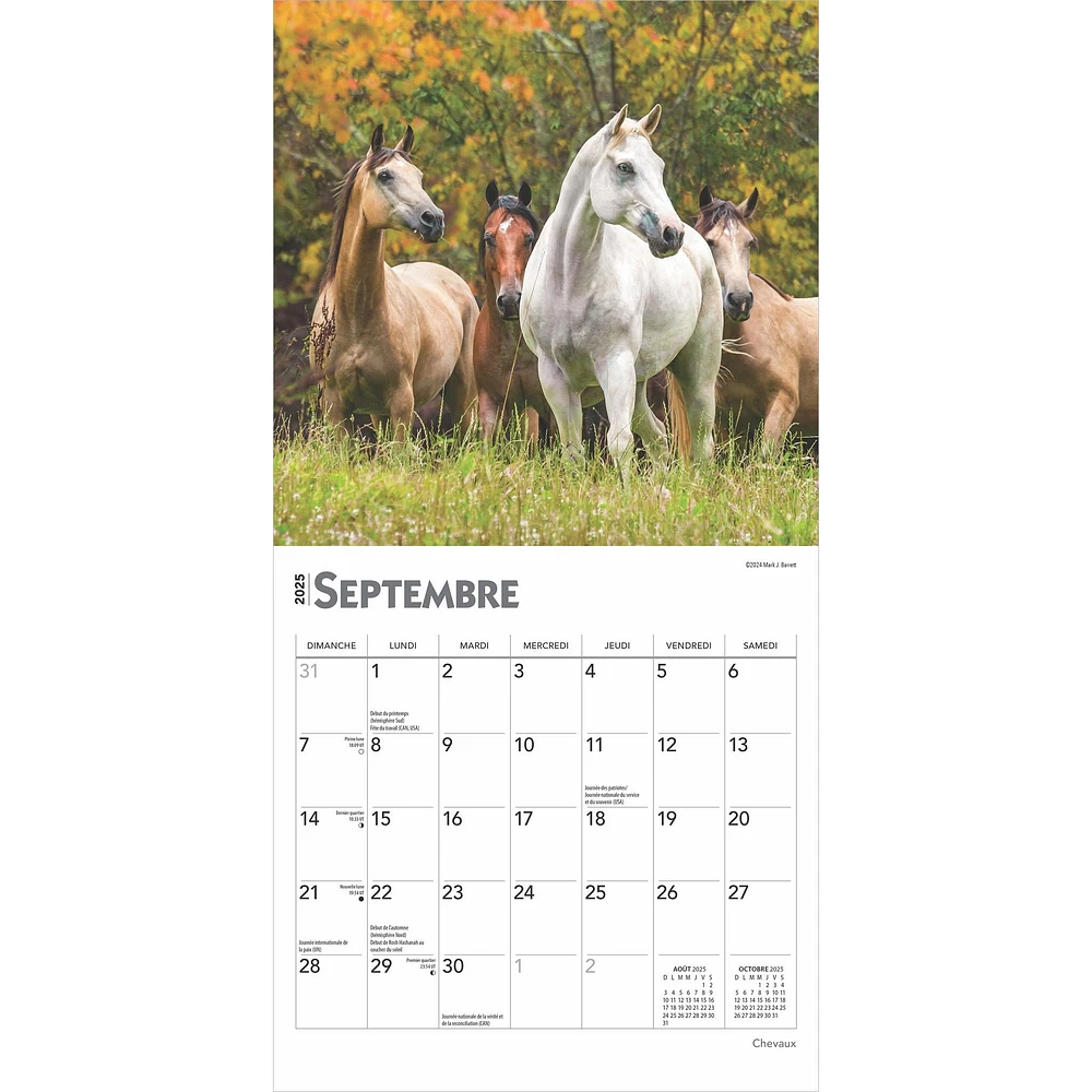 Chevaux Mini 2025 Calendar (French)