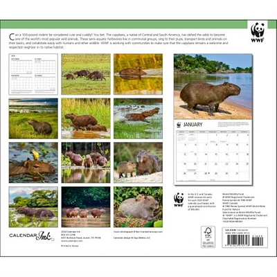 Capybara World Wildlife Fund Wall 2025 Calendar